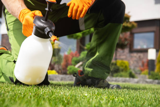 Best Wasp Removal Services  in Webster, FL