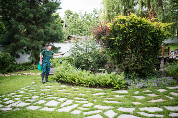 Best Pest Prevention Services  in Webster, FL