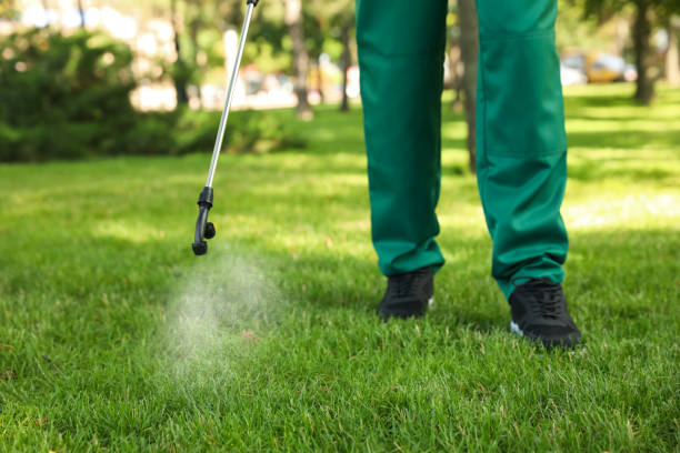 Best Pest Inspection Near Me  in Webster, FL